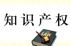 知識產權“入典”受關注