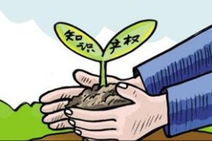 2018中國(guó)知識(shí)產(chǎn)權(quán)保護(hù)高層論壇,將于4月20日在京啟幕